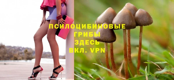 крисы Балахна