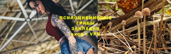 не бодяженный Арсеньев