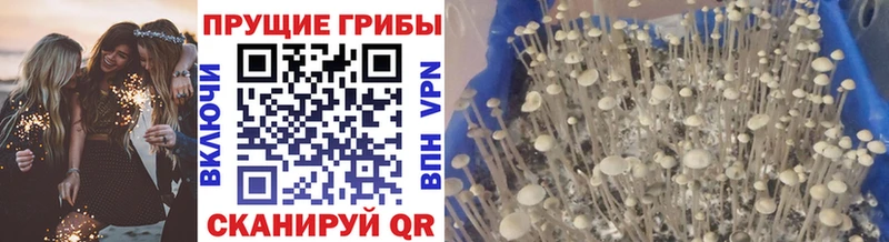 Псилоцибиновые грибы MAGIC MUSHROOMS  Сорск 